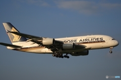 Singapore A380-841 9V-SKR ✈