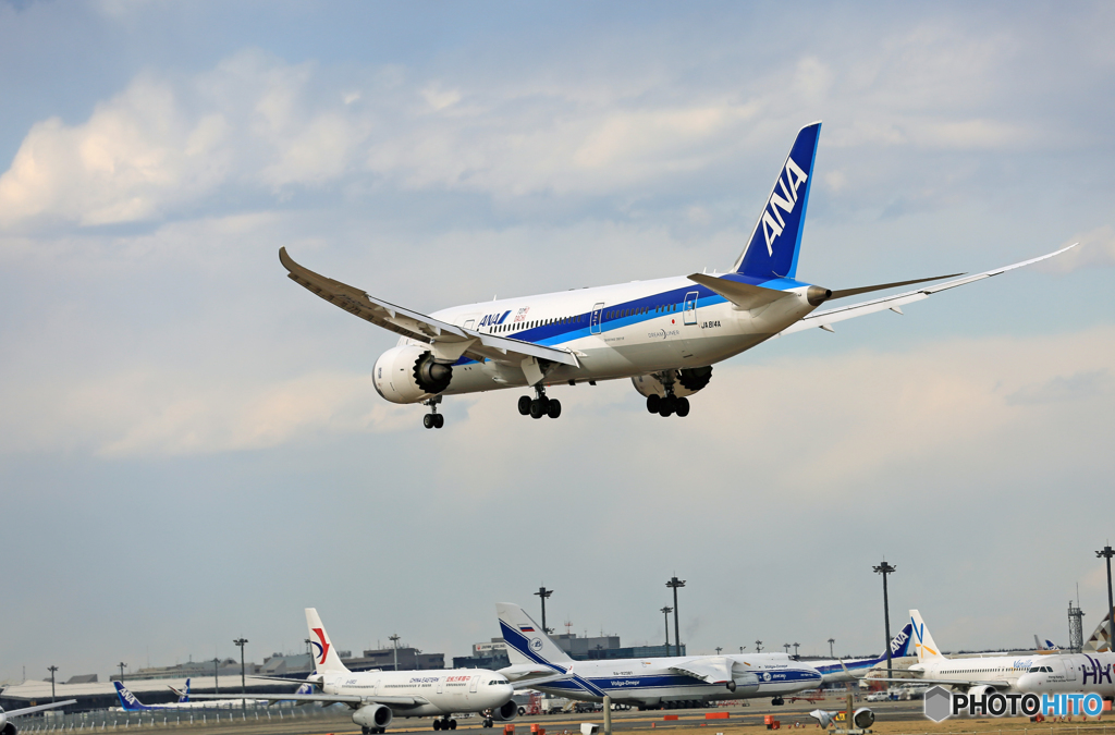 「SKY」 ANA 787-8 JA814A☀