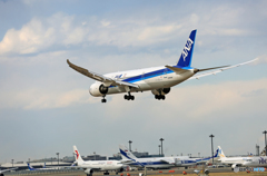 「SKY」 ANA 787-8 JA814A☀