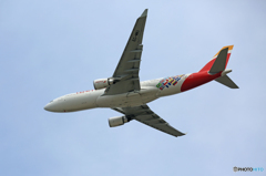 「青空」 IBERIA 特別塗装 A330-202 EC-MKI 離陸