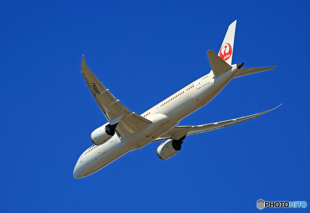 「すかい」 JAl 787-9 JA864J 飛び立ち