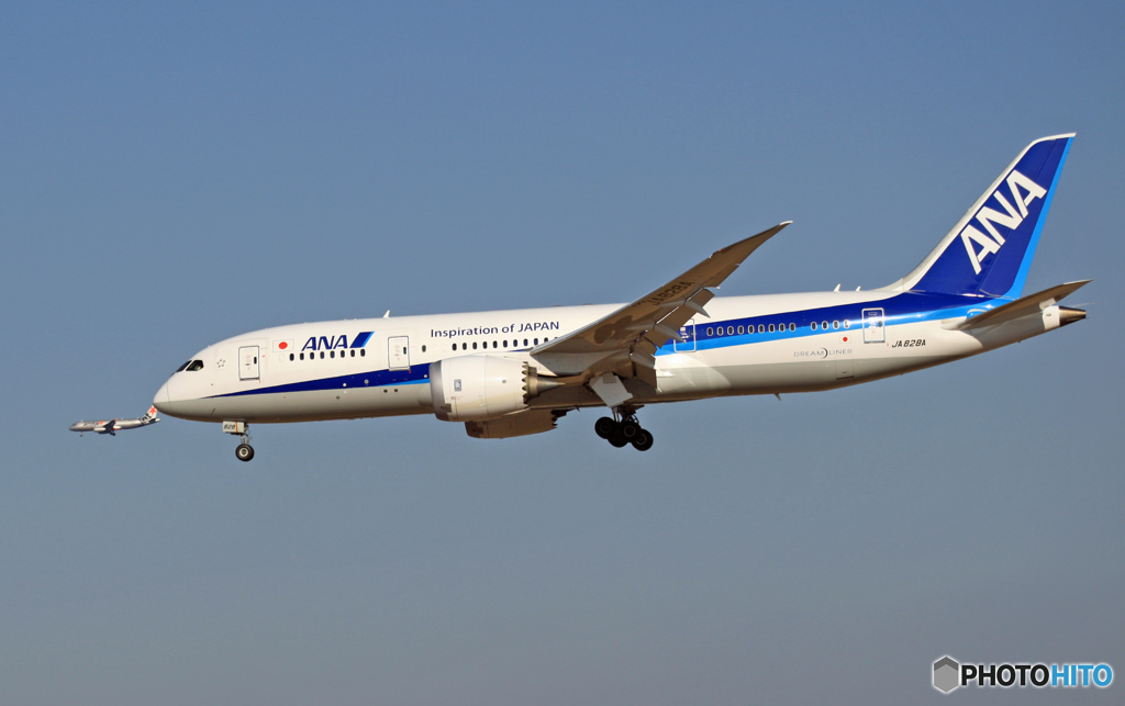 到着 ANA 787-8 JA828A