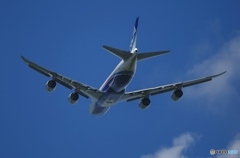 NCA 747-8KZF  離陸　