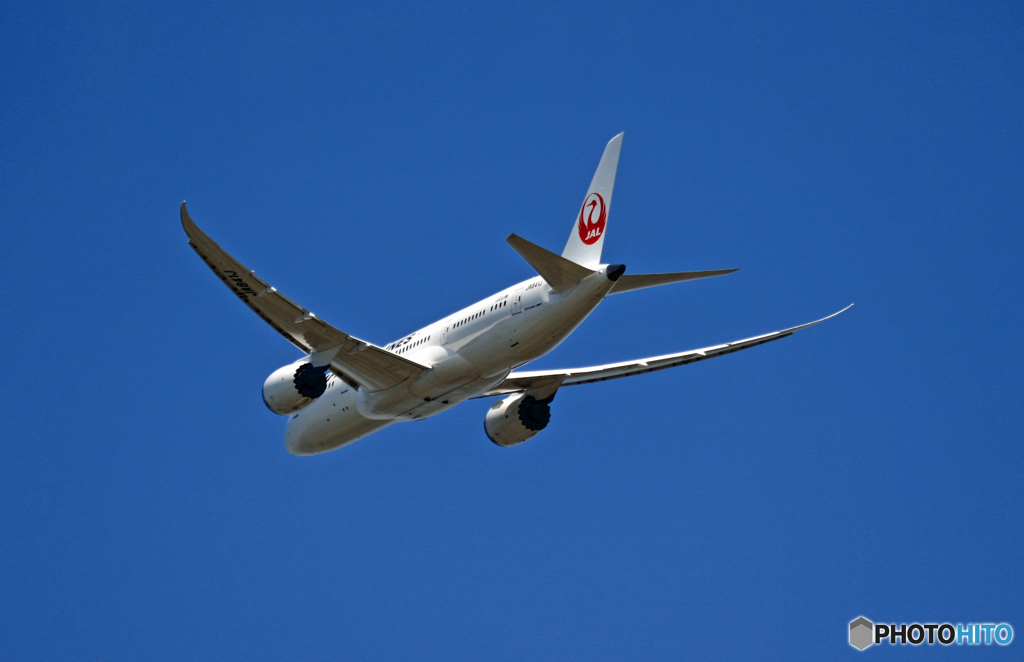 JAL 787-8 JA841J 出発 