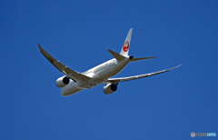 JAL 787-8 JA841J 出発 
