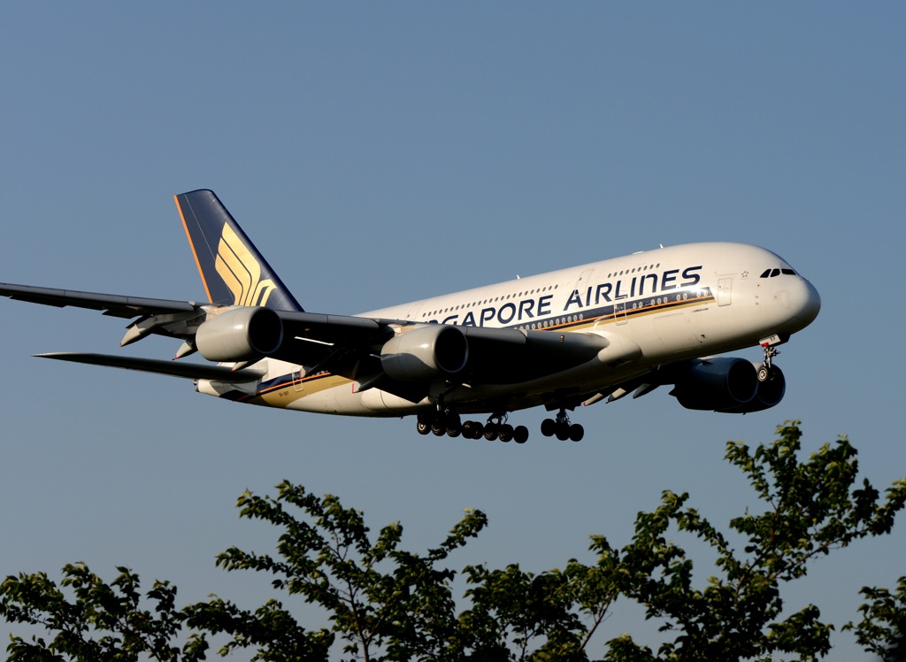 SINGAPORE A380-841 着陸　