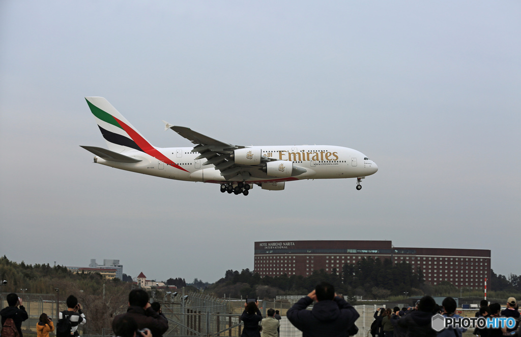 ✈わあぁ～来た！ ✈エミレーツ航空A380-861