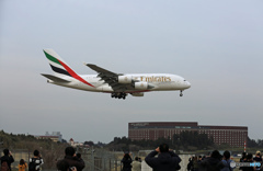✈わあぁ～来た！ ✈エミレーツ航空A380-861
