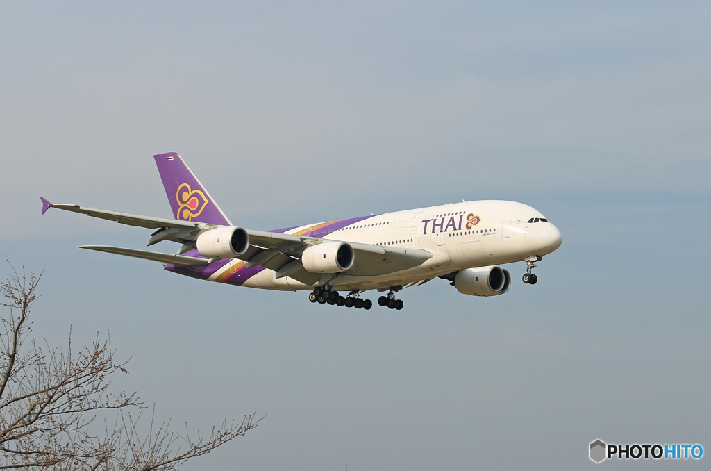 [青い空]　Thai A380-841 HS-TUA 着陸
