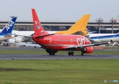 Auroraオーロラ航空SAT B737-5L9  RA-73013出発　