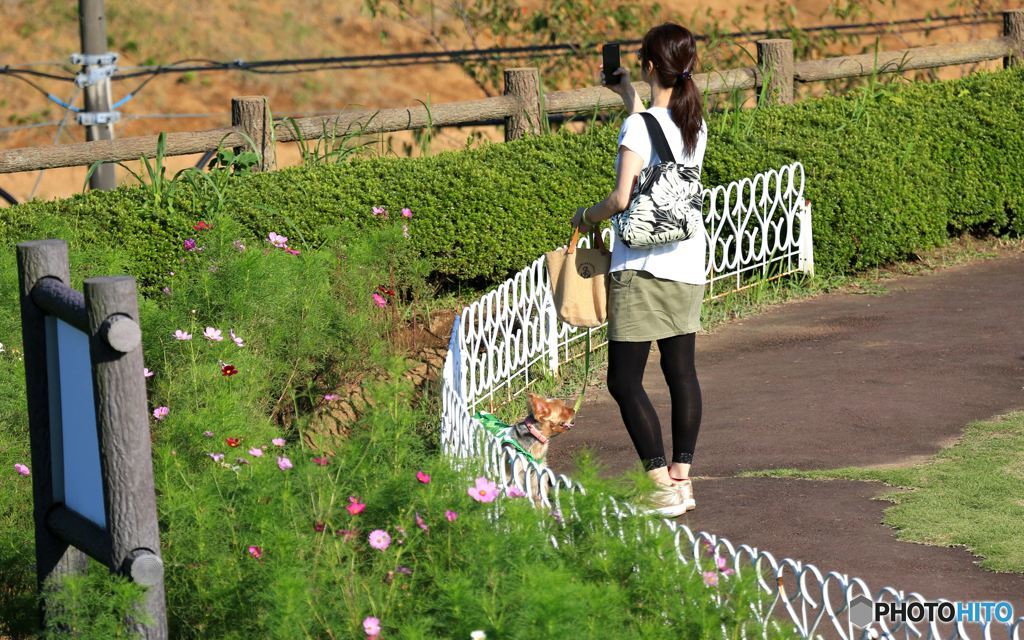 [SW] 犬を連れた、気になるカメラ女子!