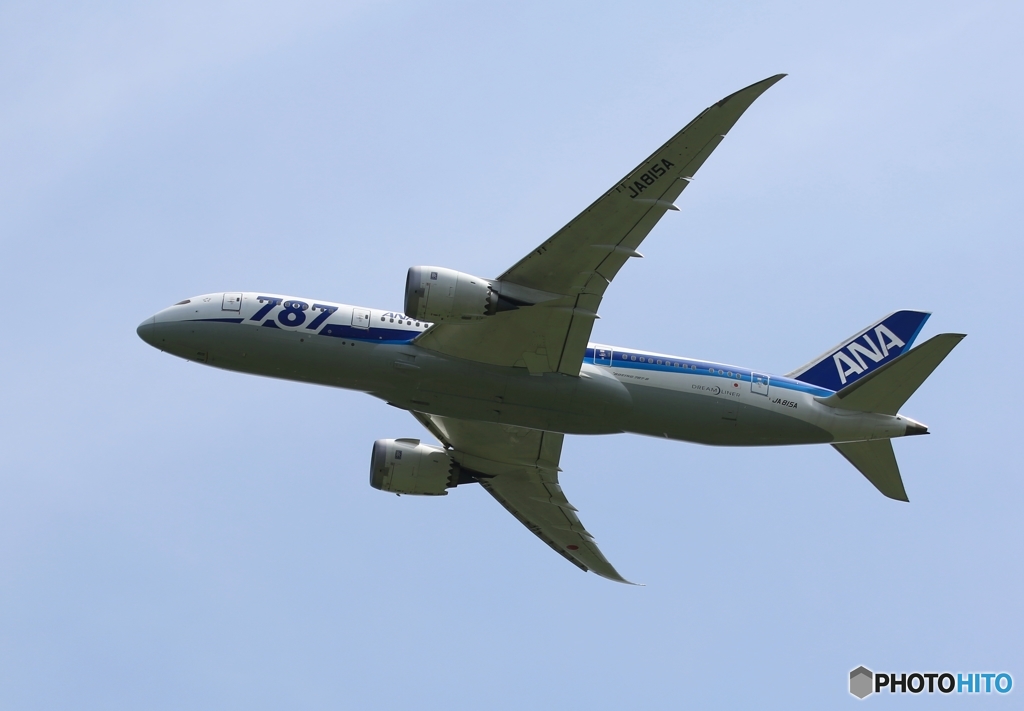 ANA 787-8 ✈