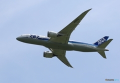 ANA 787-8 ✈