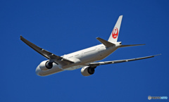 JAL 777-346 JA743J 離陸 