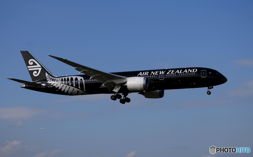 Air New Zealand [All Blacks]787-9 ZK-NZE