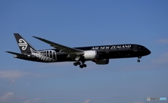 Air New Zealand [All Blacks]787-9 ZK-NZE