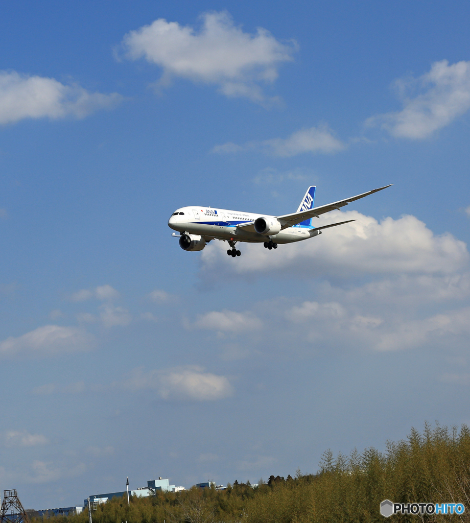 「SKY」 ANA 787-8 JA828A Landing
