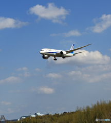 「SKY」 ANA 787-8 JA828A Landing