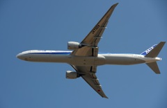 ANA 777-300