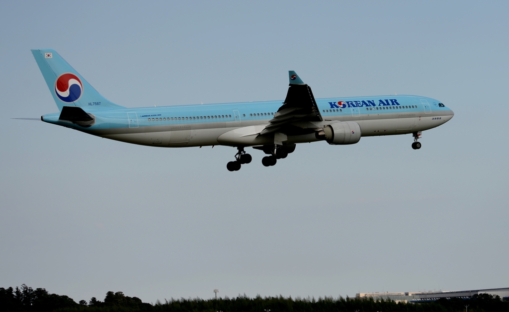 着陸（54）Korean A330-300 