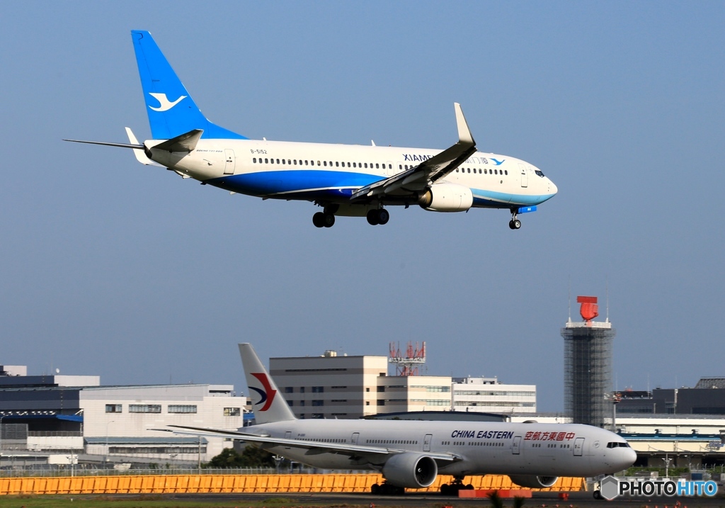 厦門航空（アモイ） Xiamen Airlines 737-800 着陸 