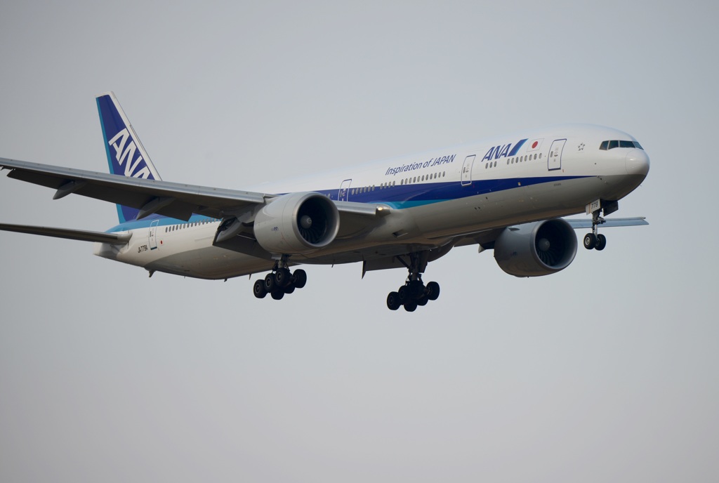 ANA 777-300 着陸