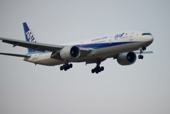 ANA 777-300 着陸