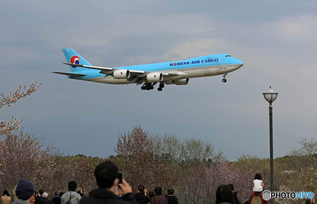 来たね！やっぱりジャンボ KOREAN CARGO 