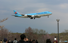 来たね!やっぱりジャンボ KOREAN CARGO  来たね!やっぱりジャンボ KOREAN CARGO