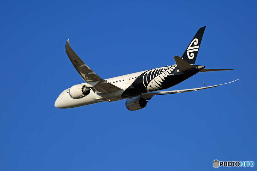 「スカイ」 Air New Zealand B787-9 ZK-NZF☀