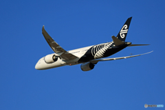 「スカイ」 Air New Zealand B787-9 ZK-NZF☀