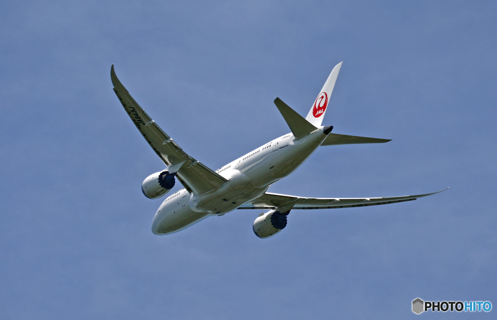 JAL 787-8 JA843J 出発 