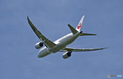 JAL 787-8 JA843J 出発 