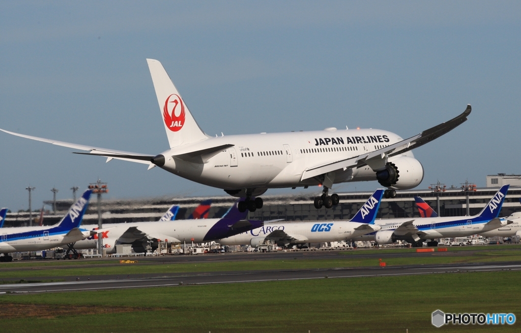 JAL 787-8 到着　