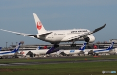 JAL 787-8 到着　