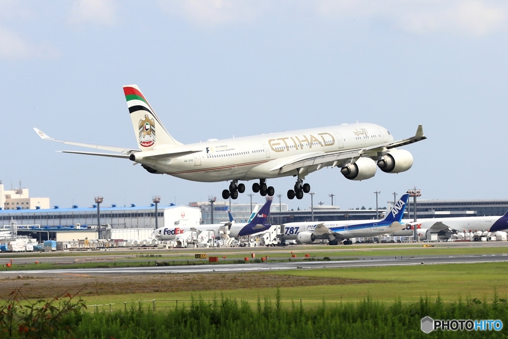 到着　ETIHAD A340-500 A6-EHD