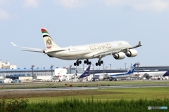 到着　ETIHAD A340-500 A6-EHD