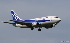 ANA 737-54K  着陸