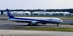 ANA 777-300ER ANA 777-300ER