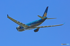 ✈vietnam A330-223 VN-A372 Takeoff