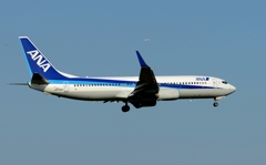 着陸（66）ANA 737-881 