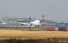 「そらー」 UNITED 747-400 N104UA 到着