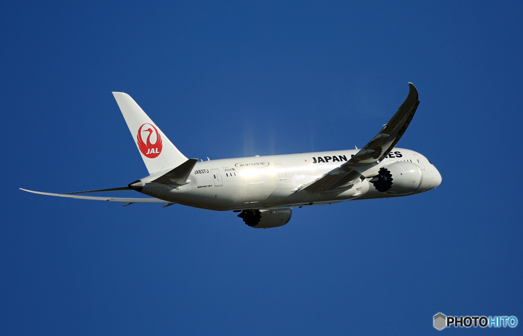 飛び立ち　JAL 787-8 JA837J