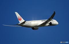 飛び立ち　JAL 787-8 JA837J