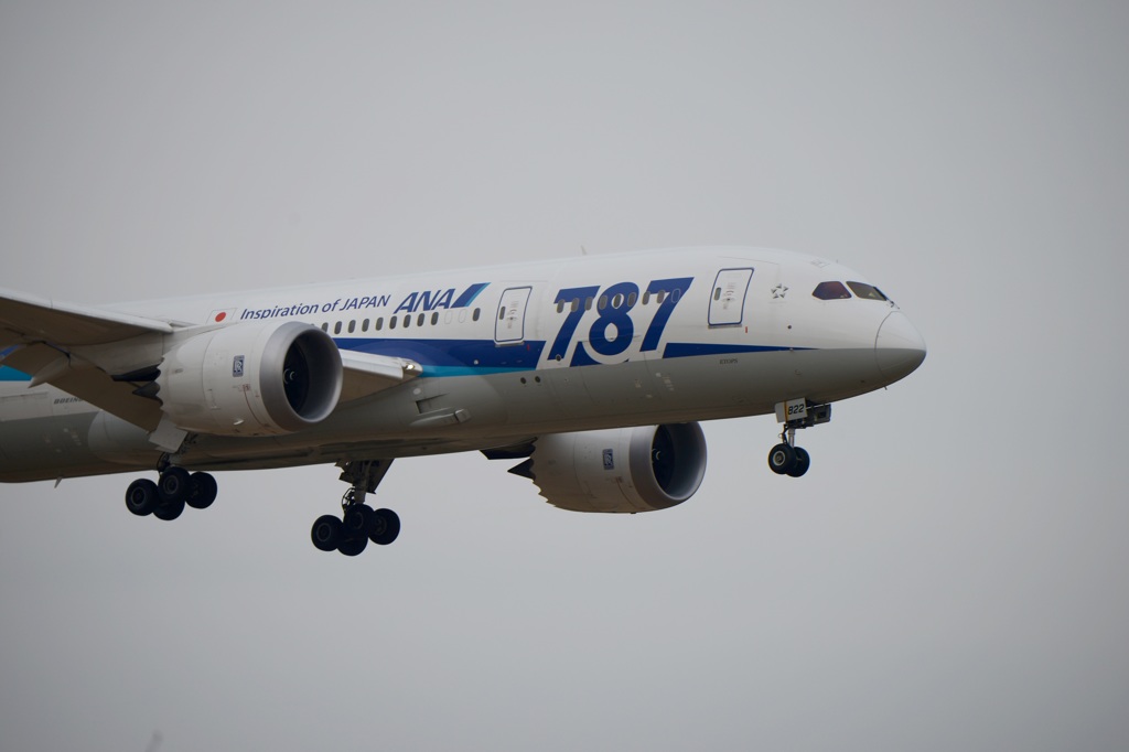 到着  ANA 787-8