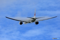 ✈JAL 777-300ER JA735J