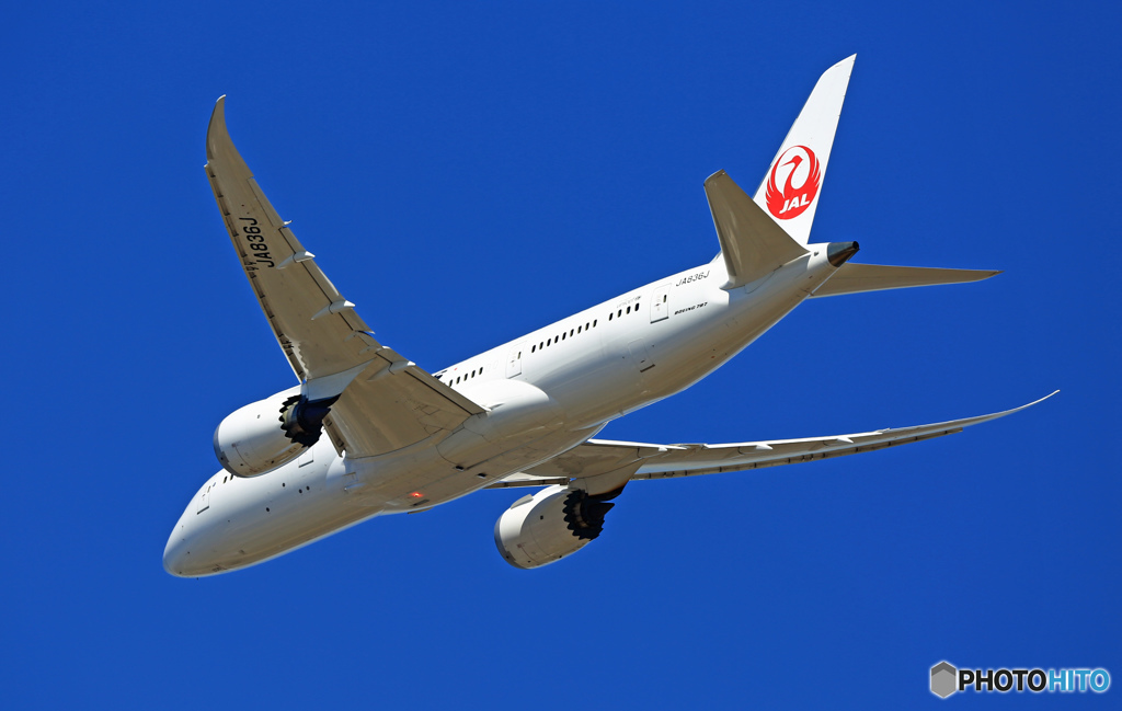 JAL 787-8 JA836J 飛行 