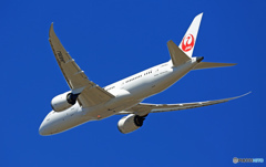 JAL 787-8 JA836J 飛行 