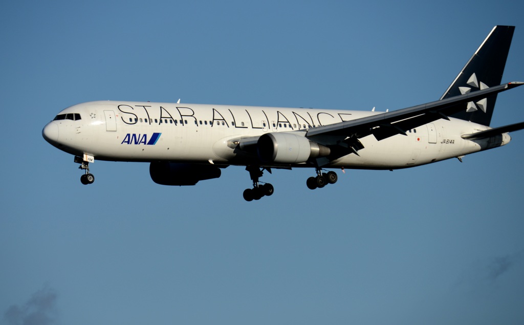 ANA STAR  767-300 