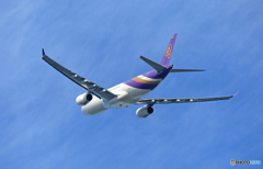 飛行 Thai A330-343 HS-TBA